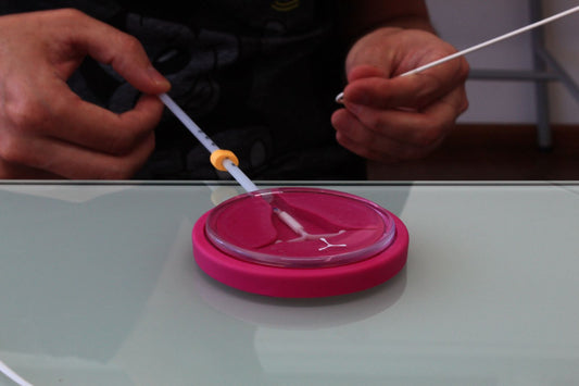 Capacitación en Inserción de DiU/SIU - Sede Concón